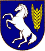 Gemeinde St. Johann