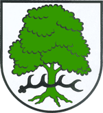 Stadt Waldenbuch