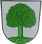 Stadt Bad K�tzting