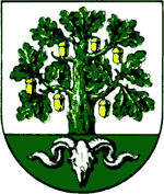 Stadt Bergen